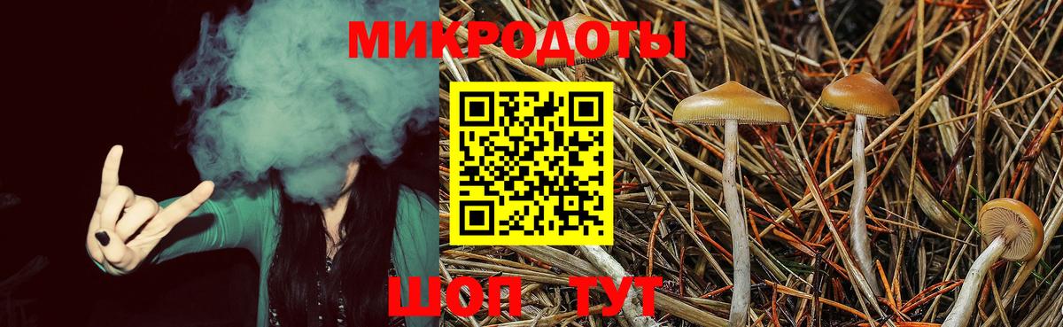 Псилоцибиновые грибы Cubensis Котлас