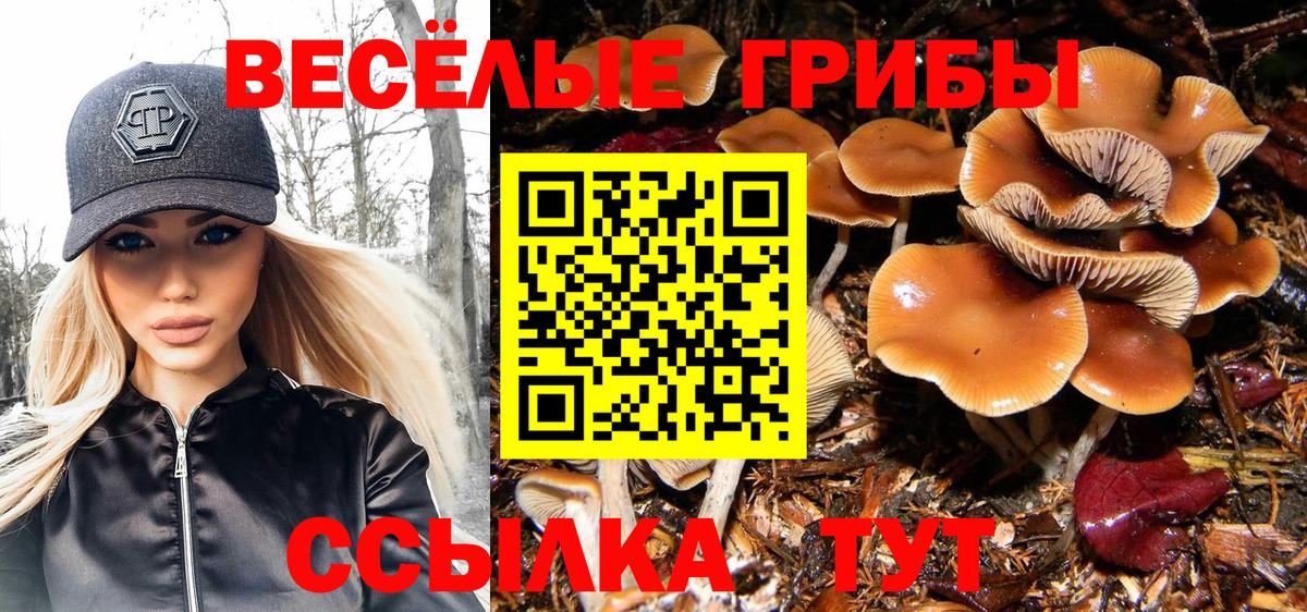 Галлюциногенные грибы Magic Shrooms  магазин    Галлюциногенные грибы прущие грибы  Котлас  Вход с VPN 