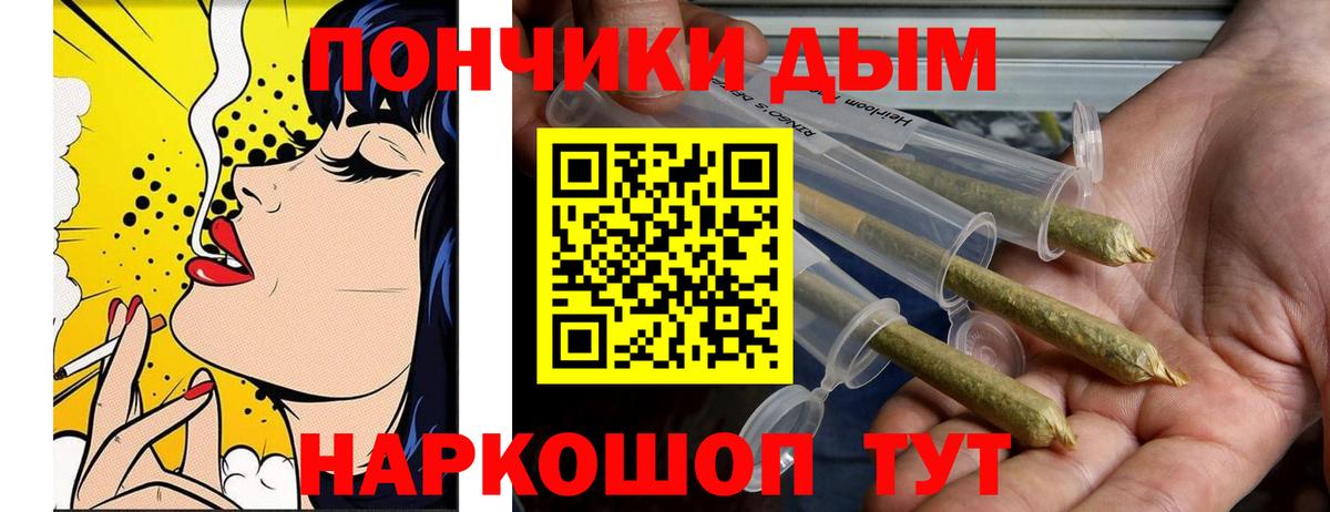 Каннабис конопля Котлас